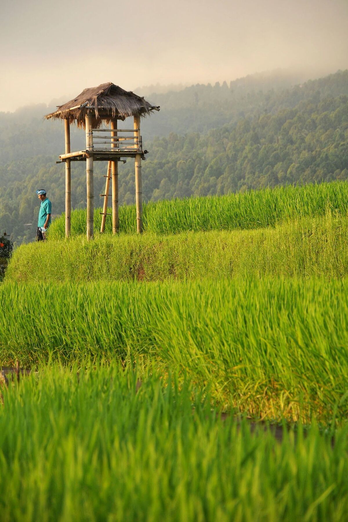 Puri Lumbung Cottages Gobleg  Exterior foto