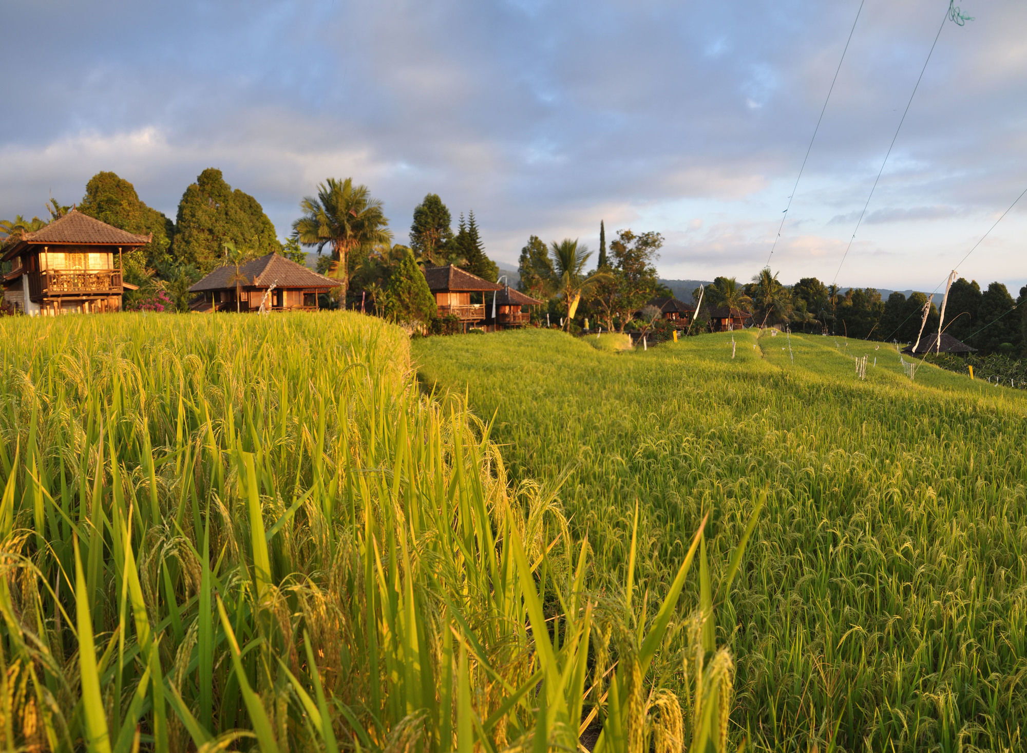Puri Lumbung Cottages Gobleg  Exterior foto