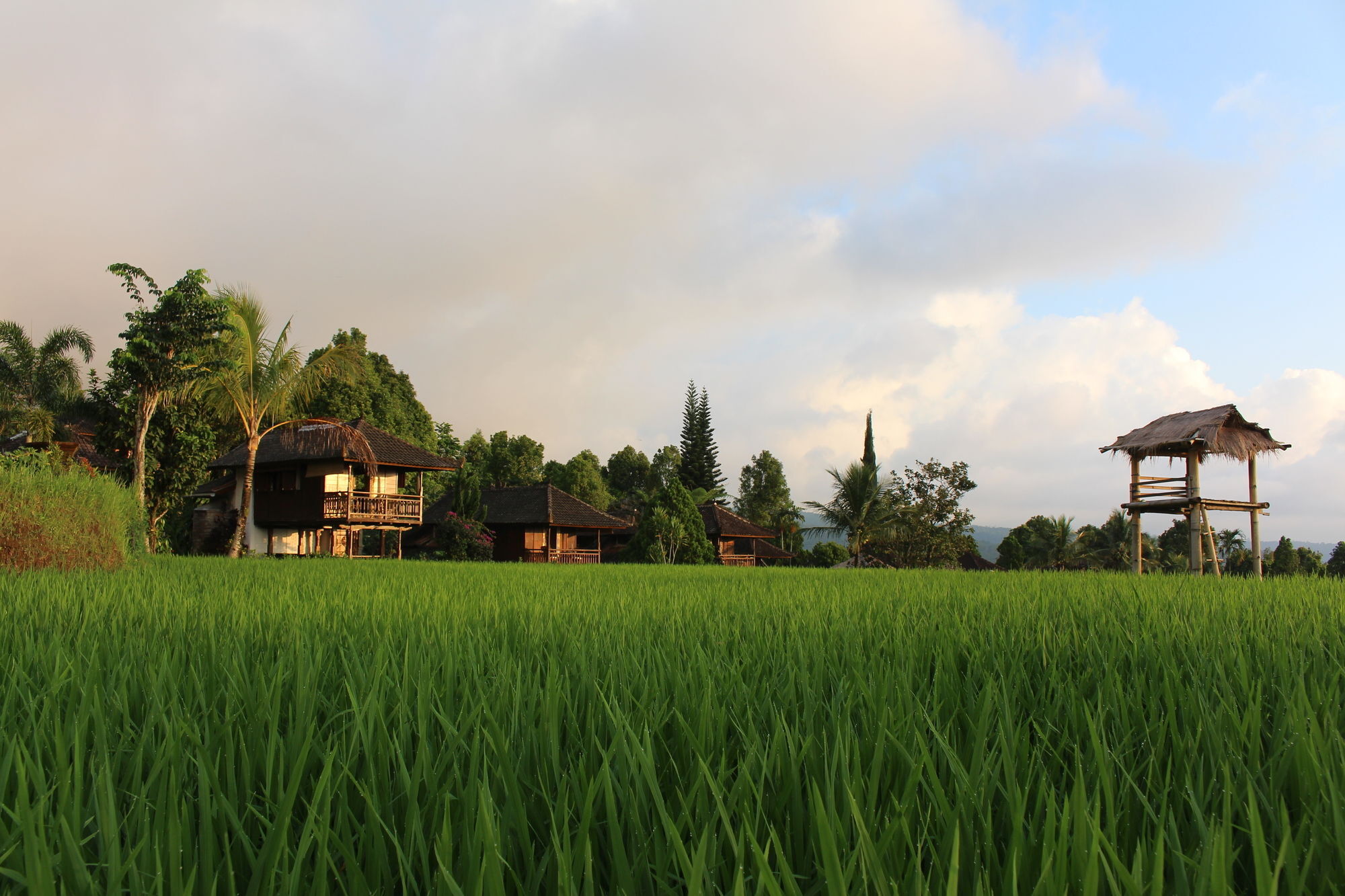 Puri Lumbung Cottages Gobleg  Exterior foto